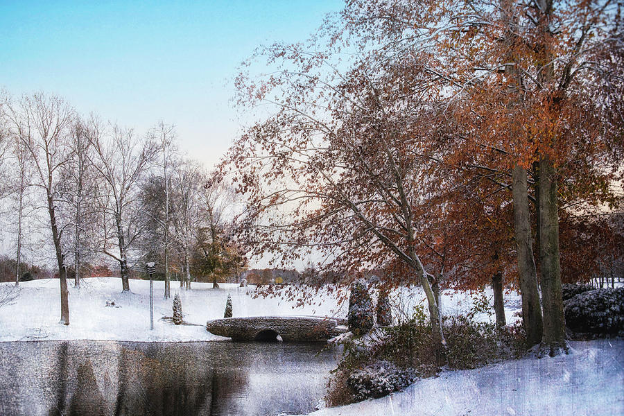 Winter Green Photograph by Rosette Doyle - Fine Art America