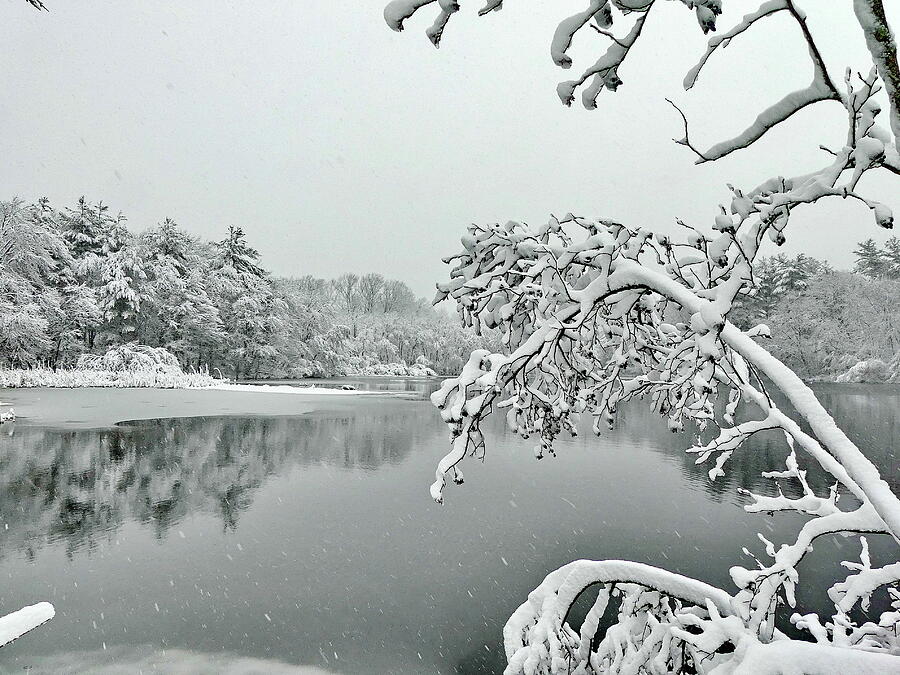 Winter, Harmony of Nature Photograph by Lyuba Filatova