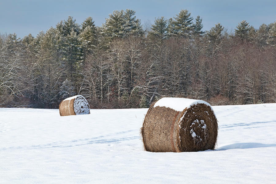 Winter Harvest Photograph by Eric Gendron
