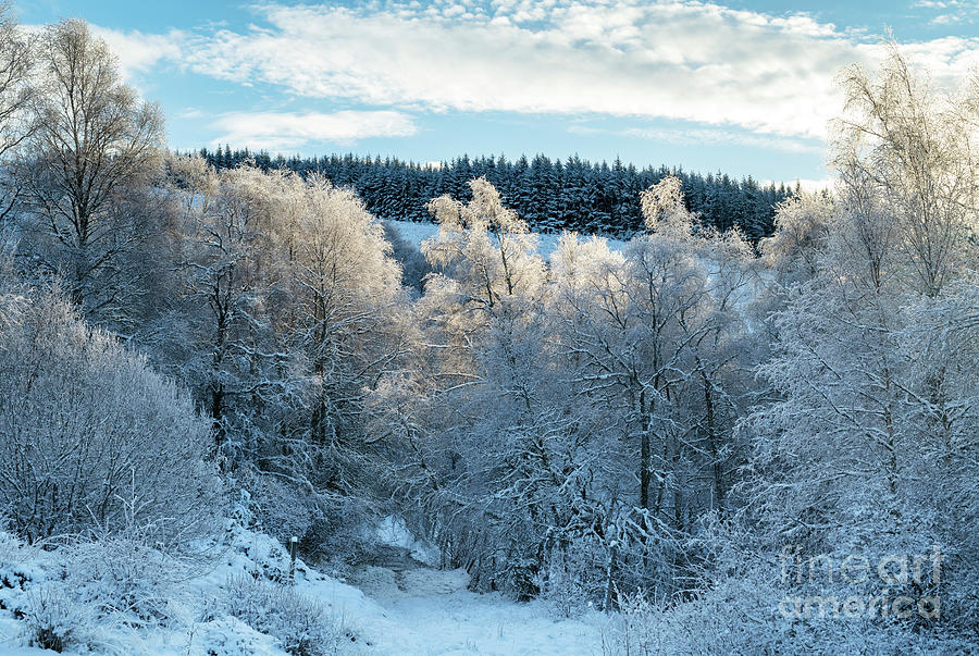 Winter Highlands Scotland Photograph by Tim Gainey