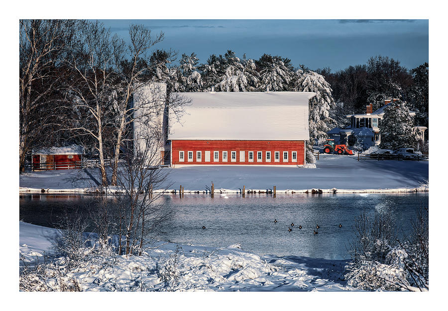 Winter Highlights w/border Photograph by C  Renee Martin