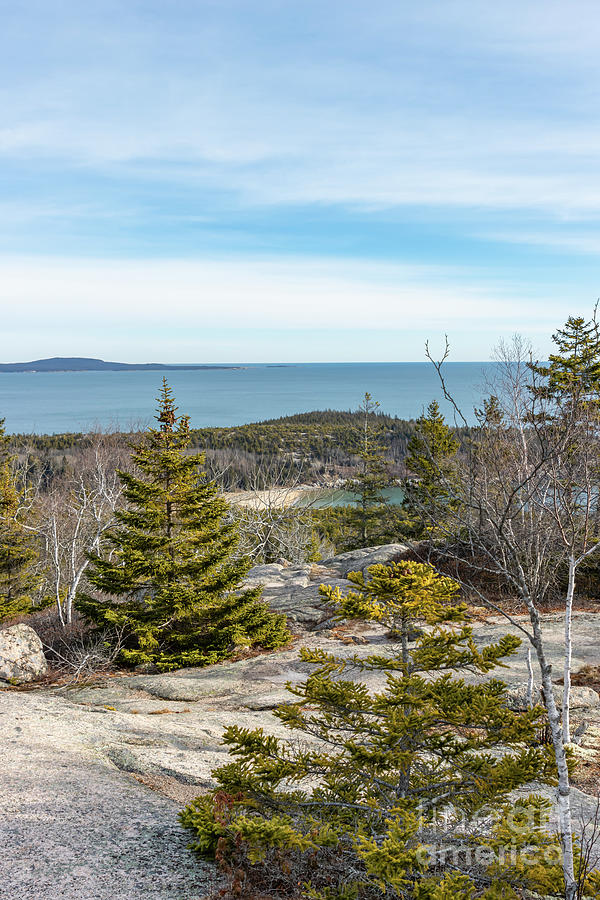 Winter Hike in Acadia Photograph by Elizabeth Dow