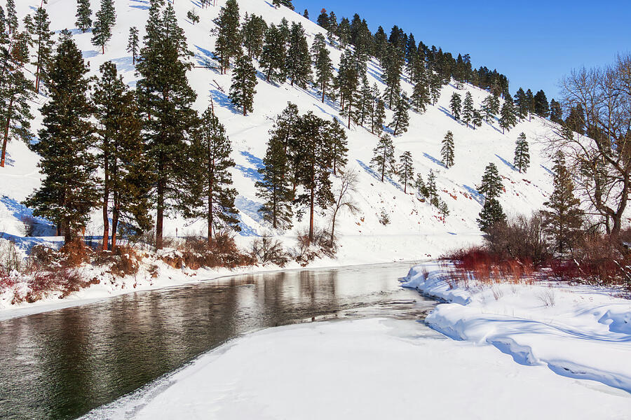 Winter hillside creek, Montana Photograph by Tatiana Travelways