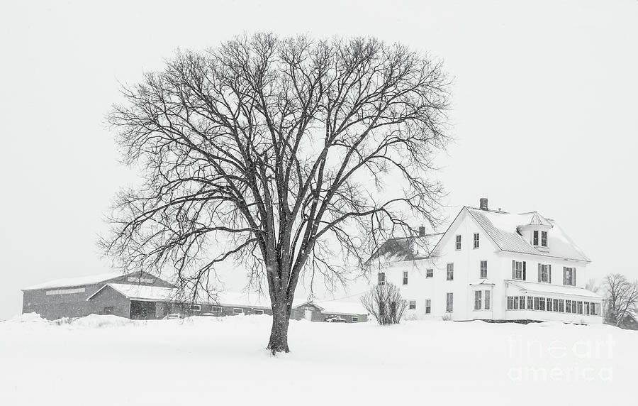 Winter Homestead Photograph by Barbara McMahon