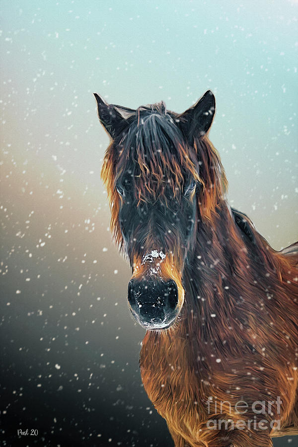 Winter Horse Photograph by Jutta Maria Pusl