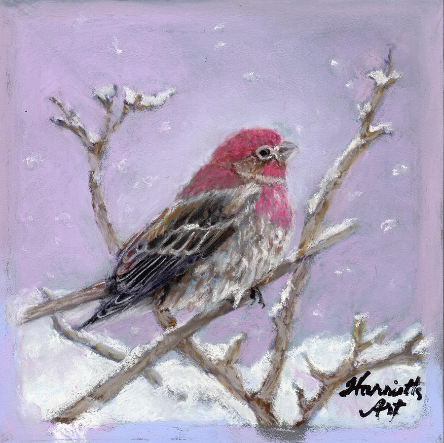 Winter House Finch Painting by Harriett Masterson
