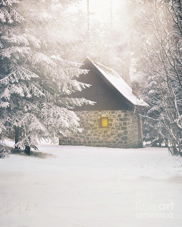 Winter House Photograph by Jelena Jovanovic