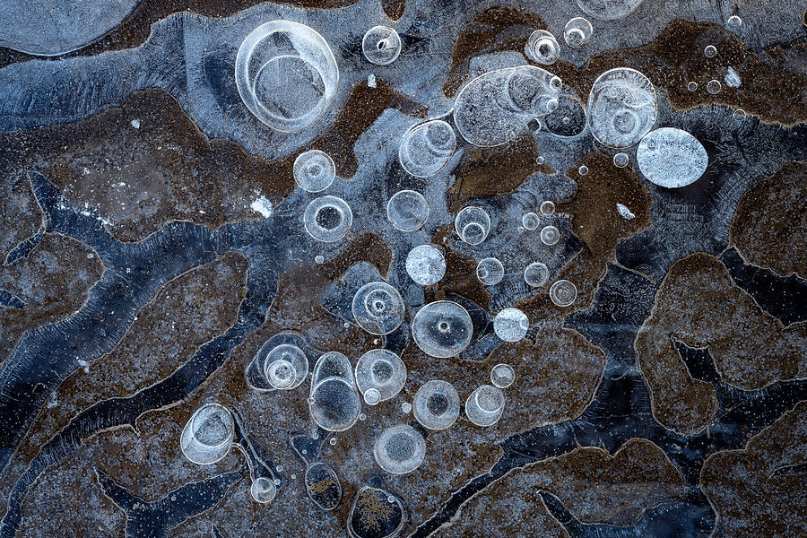Leesburg Photograph - Winter Ice Bubbles by Mark VanDyke