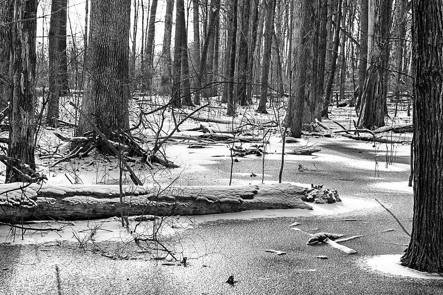Winter Ice BW 011424 Photograph by Mary Bedy