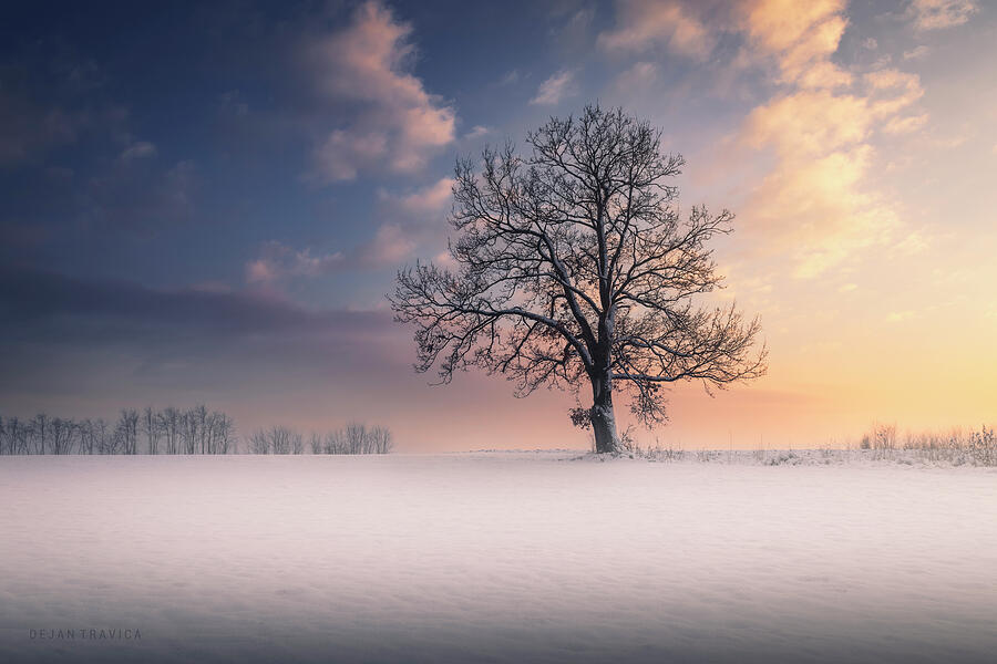 Winter idyll Photograph by Dejan Travica Winter idyll Photograph by Dejan Travica