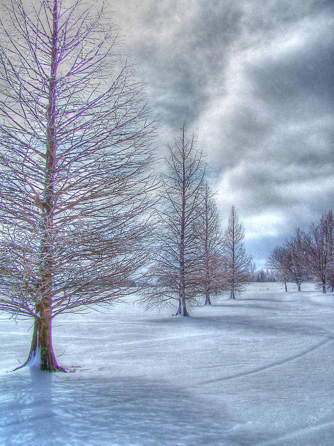 Winter II Photograph by Robert Harris