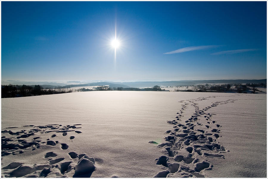 Winter III Photograph by Tobias Gaulke