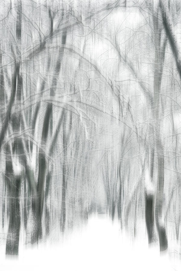 Winter Illusions Photograph by Andrii Maykovskyi