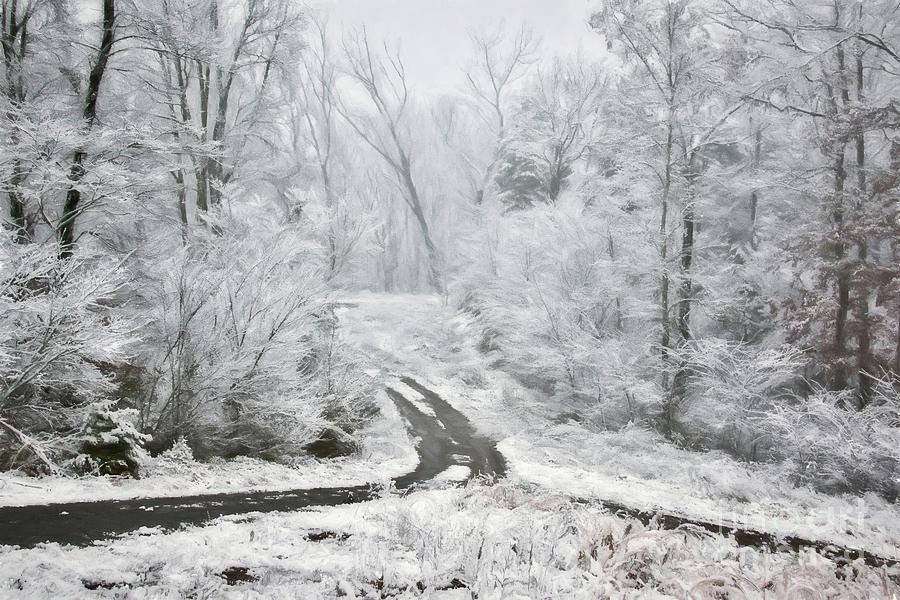 Winter Impression Digital Art by Geraldine DeBoer