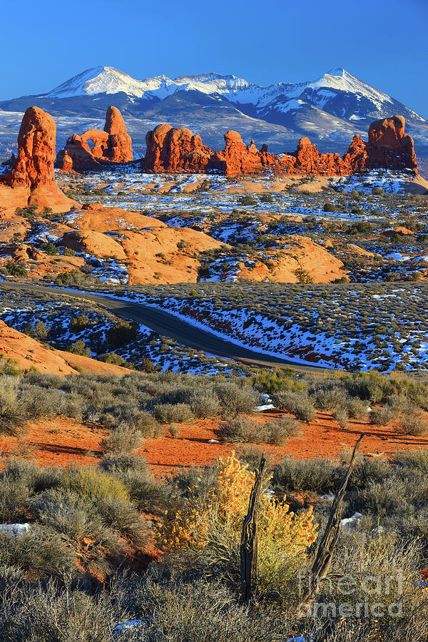 Winter in Arches National Park Photograph by Henk Meijer Photography