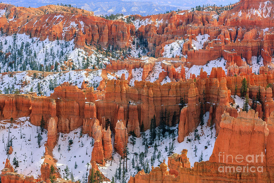 Winter in Bryce Canyon Photograph by Henk Meijer Photography