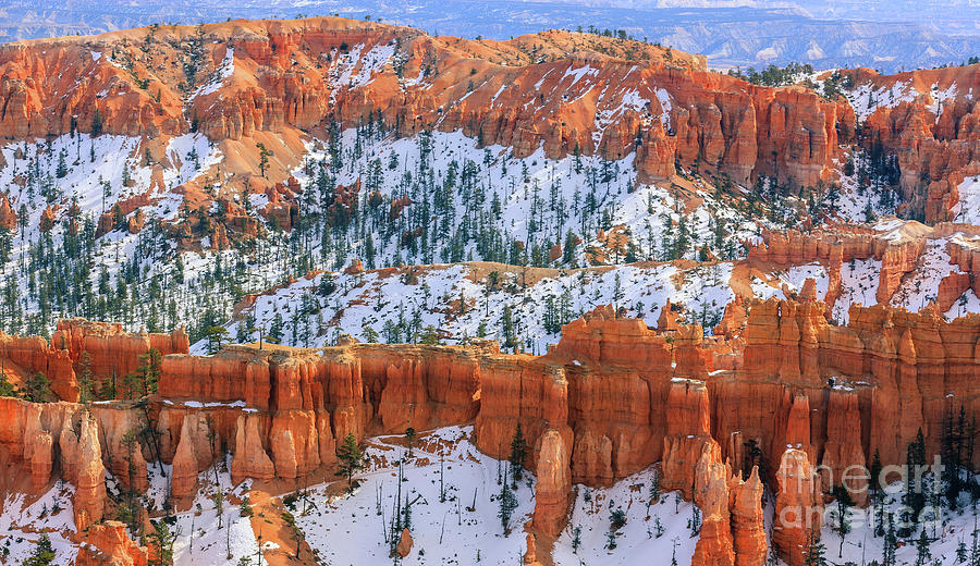 Winter in Bryce Canyon National Park Photograph by Henk Meijer Photography