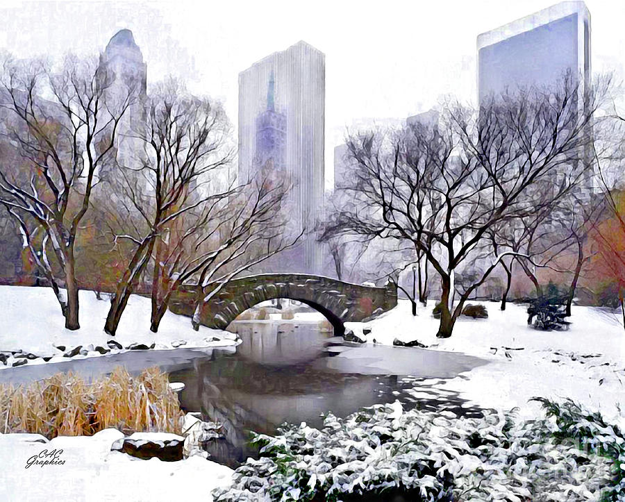 Winter in Central Park Digital Art by CAC Graphics