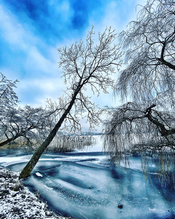 Winter Photograph - Winter in Denmark  by Colette V Hera Guggenheim