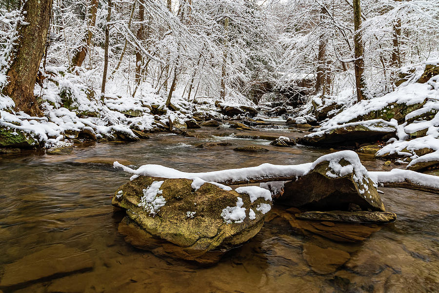 Winter in Drawdy Creek Photograph by SC Shank