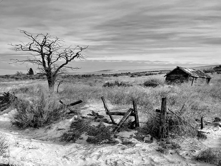 Winter Photograph - Winter in Eastern Washington bw by Jerry Abbott