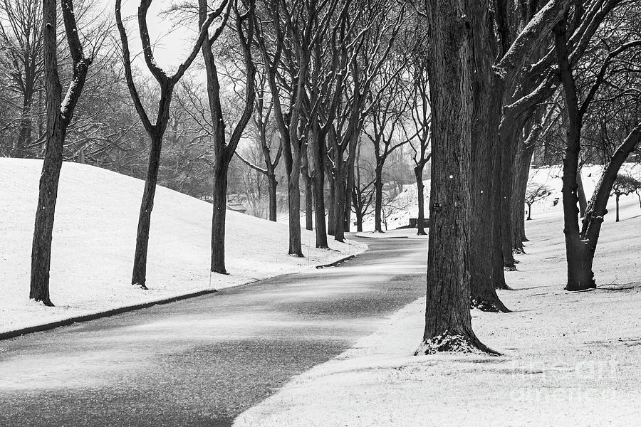 Winter in Elmwood Cemetery Photograph by Jim West