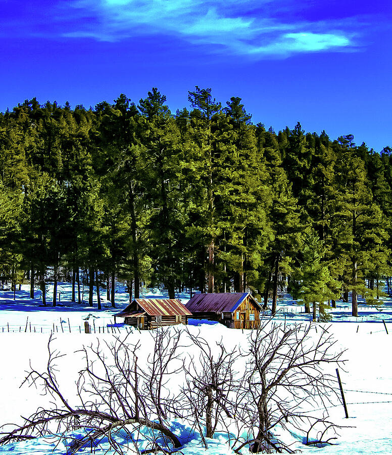 Winter in Flagstaff Arizona Photograph by Stephanie Johnson Photography ...