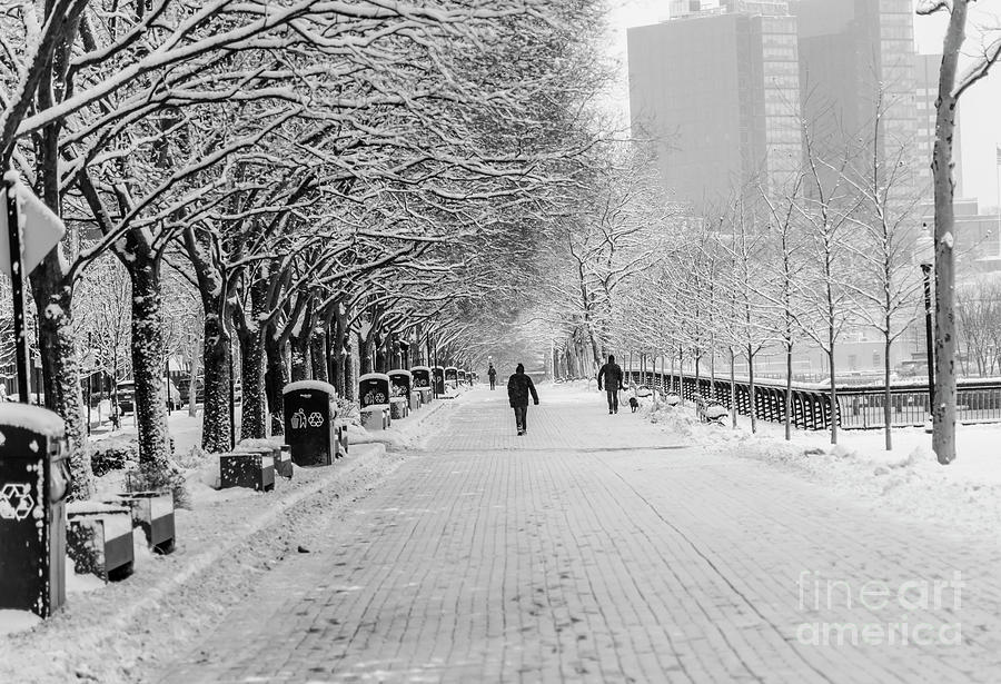 Winter In Hoboken Photograph