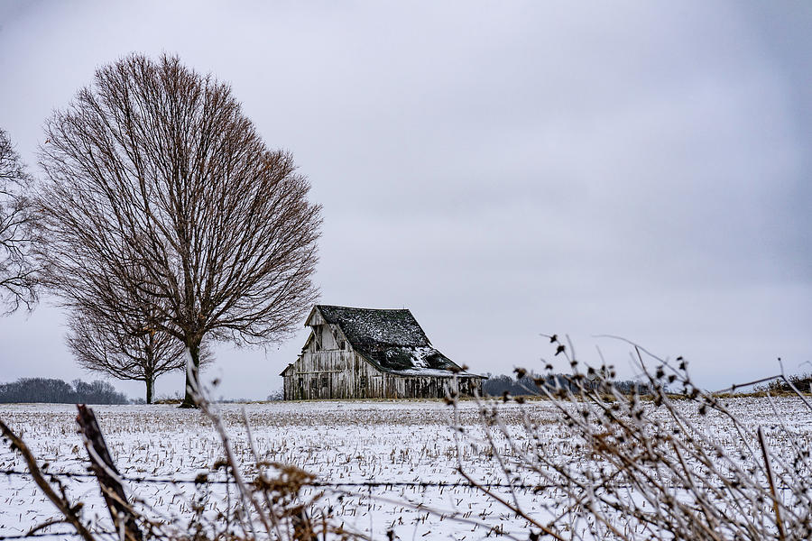 Winter In Indiana Photograph by Scott Smith
