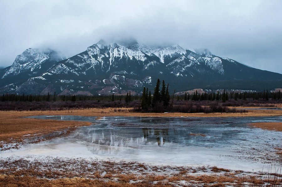Winter in Jasper Photograph by Linda McRae