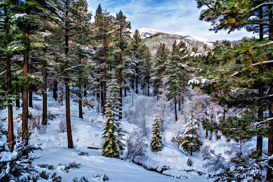 Winter In Eastern Sierra Photograph