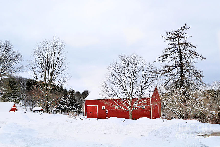 Winter In New England Photograph