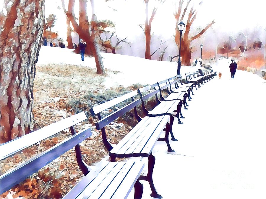Winter in New York Photograph by Miriam Danar