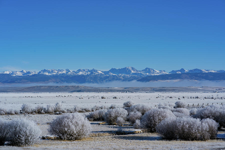 Winter in Pinedale Photograph by Julieta Belmont