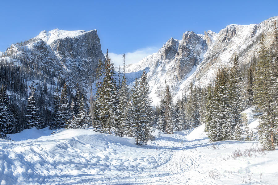 Winter In Rocky Mountain National Park Photograph