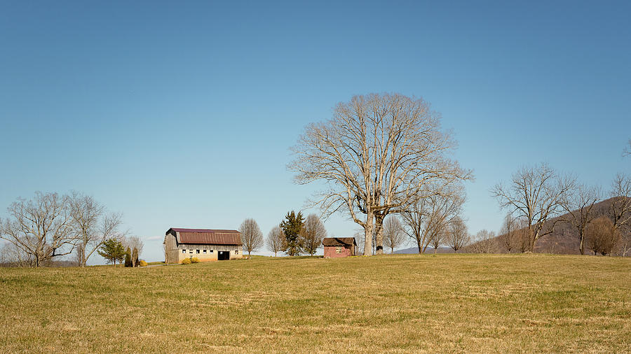 Winter in Rural North Carolina Photograph by Joni Eskridge