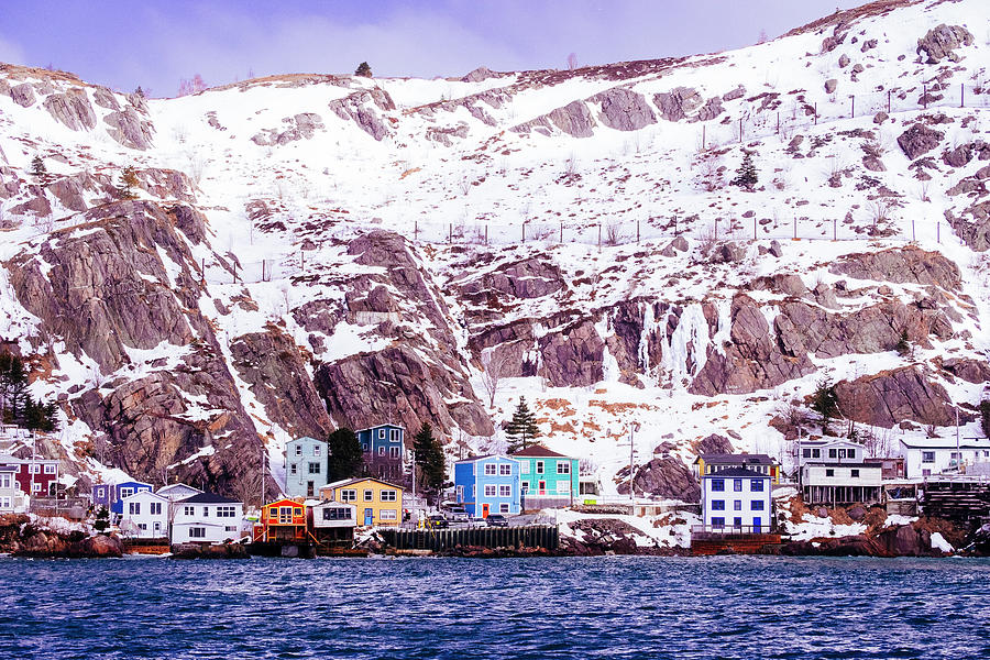 Winter in The Battery, St Johns, Newfoundland Photograph by Laura Tucker