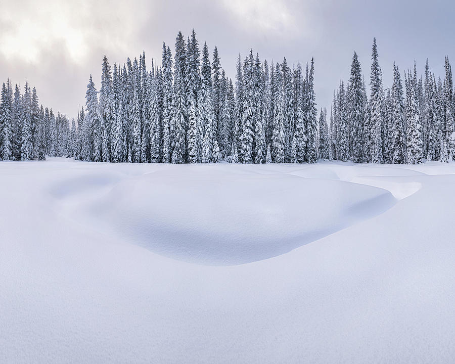 Winter Photograph - Winter in the Bitterroot Mountains 2 by Matt Hammerstein