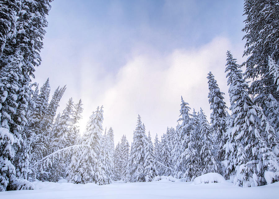 Winter Photograph - Winter in the Bitterroot Mountains 3 by Matt Hammerstein