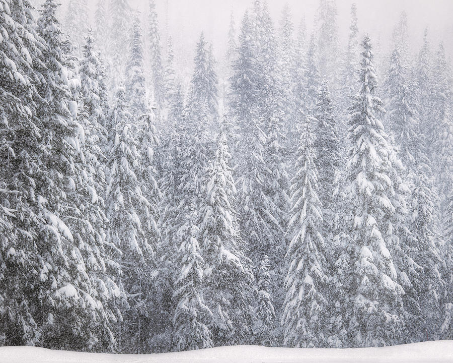 Winter Photograph - Winter in the Bitterroot Mountains by Matt Hammerstein