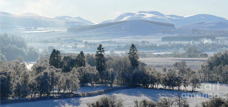 Winter in the Cairngorms Photograph by Phil Banks