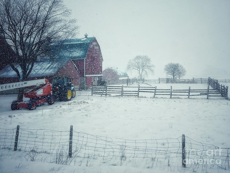 Winter in the Country  Photograph by Diana Rajala