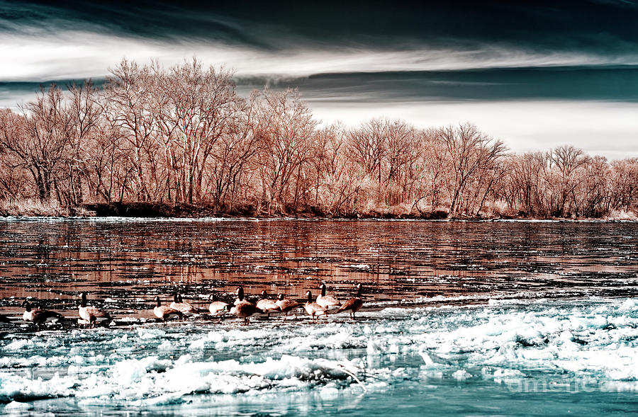 Winter in the Delaware Valley Infrared Photograph by John Rizzuto