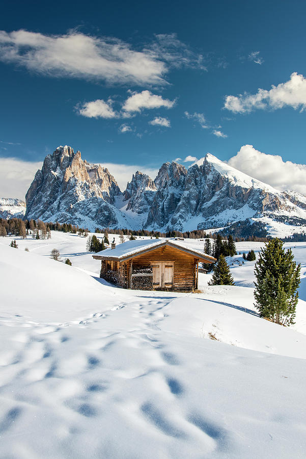 Winter in the Dolomites, South Tyrol, Italy Photograph by Stefano ...