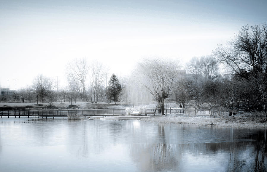 Winter in the Garden by Julie Palencia Winter in the Garden by Julie Palencia