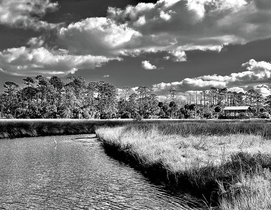 Winter in the Marsh Land NE Florida Photograph by John Anderson