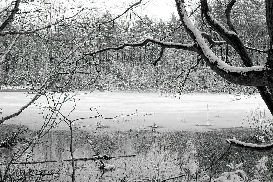 Winter Pond in the Middle of the Forest Photograph by Kathi Mirto