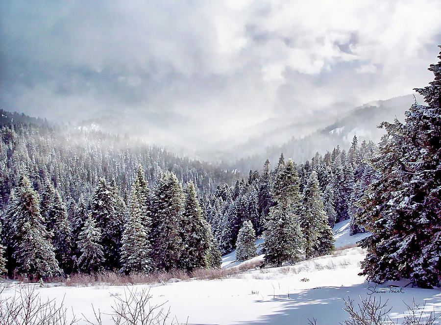 Winter in the Mountains Photograph by Sherrie Triest