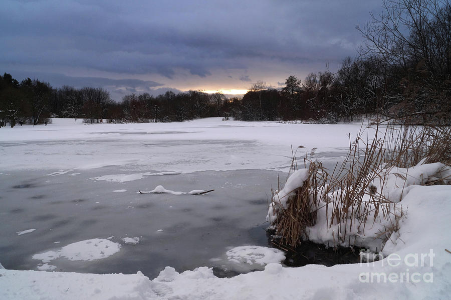 Munich Movie Photograph - Winter In The Park 2 by Rudi Prott