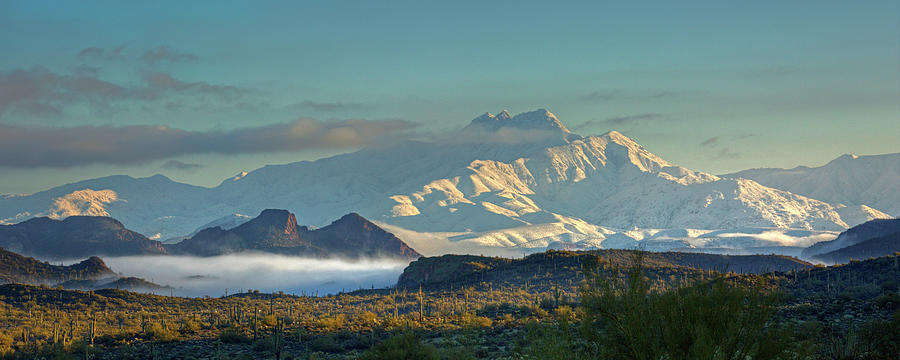 Winter in the Superstitions Photograph by Sue Cullumber
